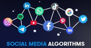 How Social Media Algorithms Work in 2026: Why You See What You See